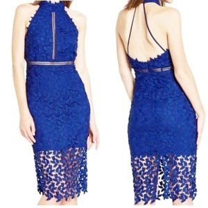 Bardot Gemma Halter Lace Sheath Dress/Royal Blue-  Size 4